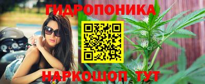 твердый Краснодар