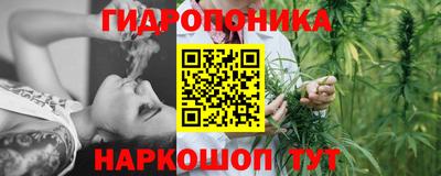 амф Краснознаменск
