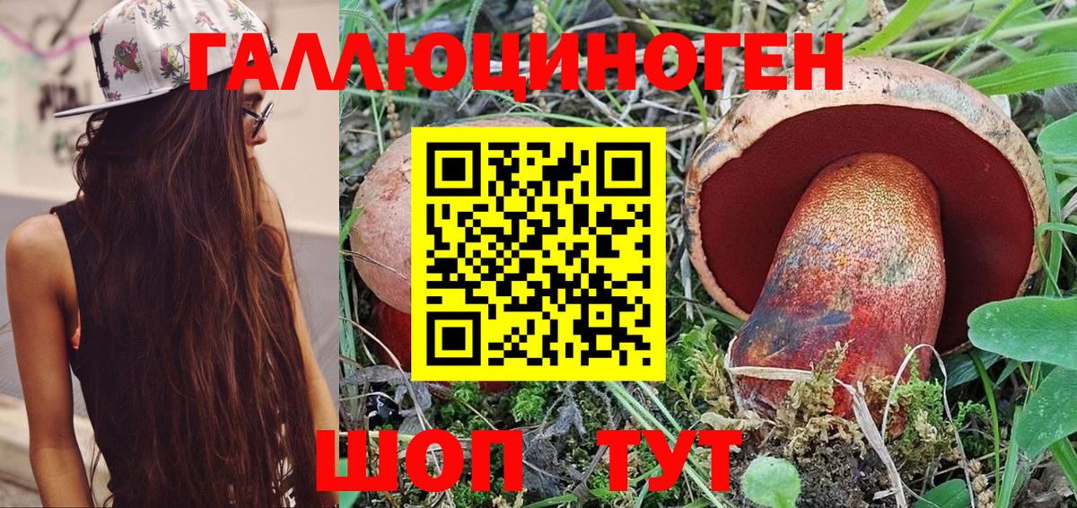 Гусев  Псилоцибиновые грибы прущие грибы  Вход с VPN 